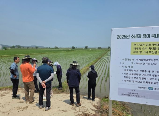 김포시농업기술센터(소장 두정호)가 17일부터 18일까지 양일간 지역특화 신품종벼 ‘한가득’의 현장컨설팅을 실시했다.