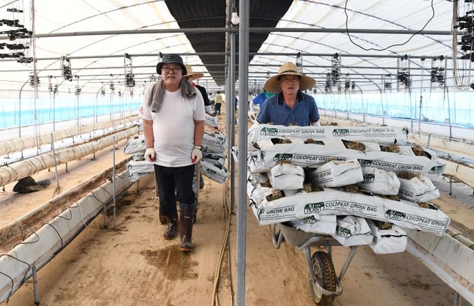 광산구의회, 집중호우 피해 농가 복구에 발 벗고 나서